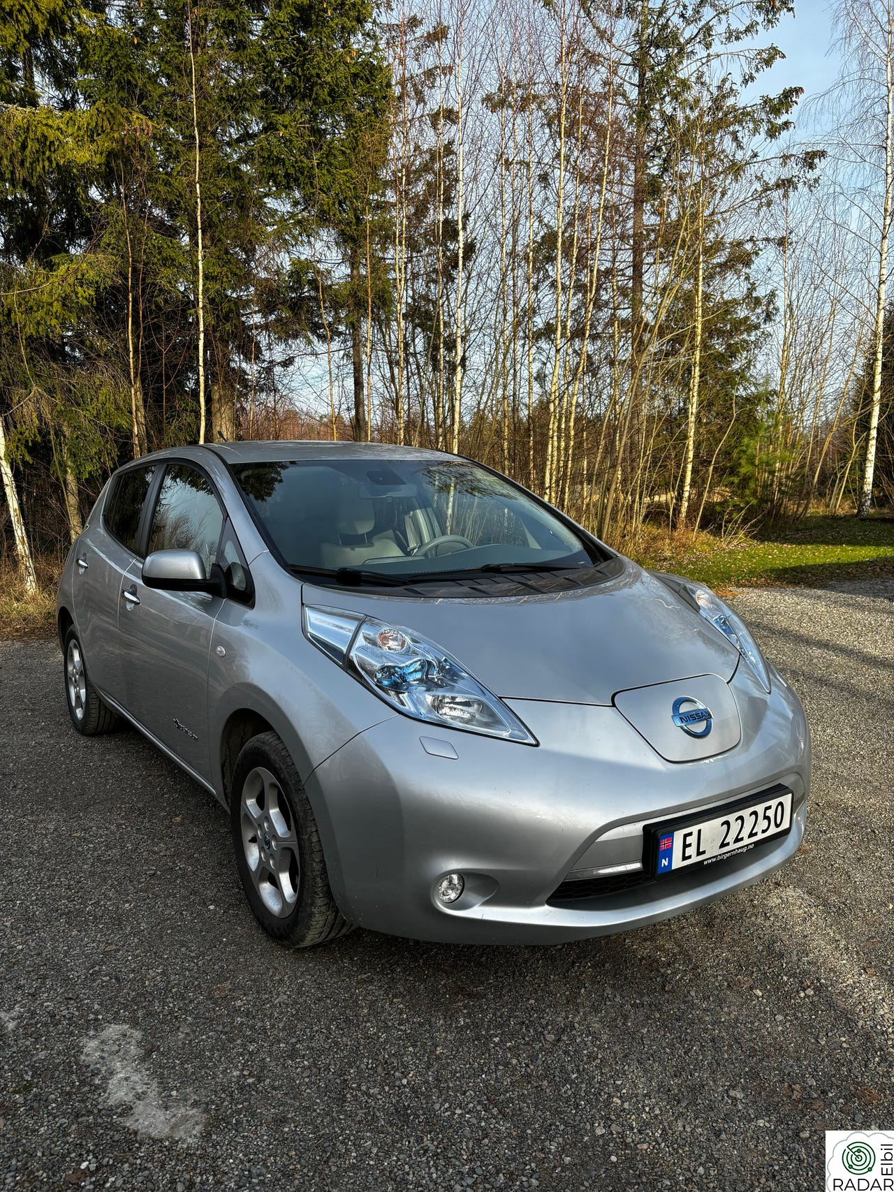 NISSAN LEAF