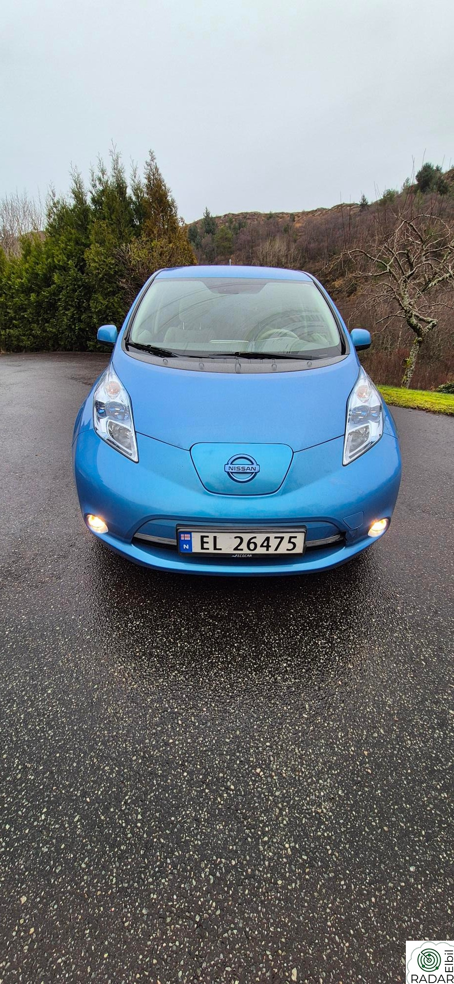 NISSAN LEAF