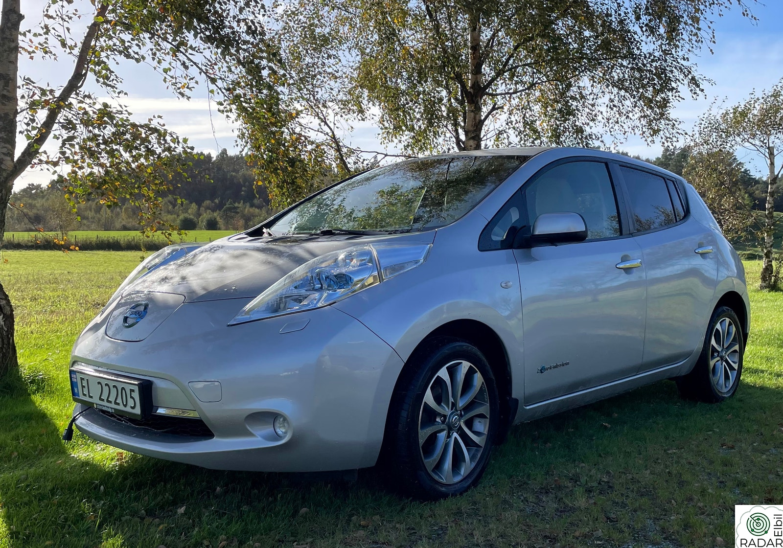 NISSAN LEAF