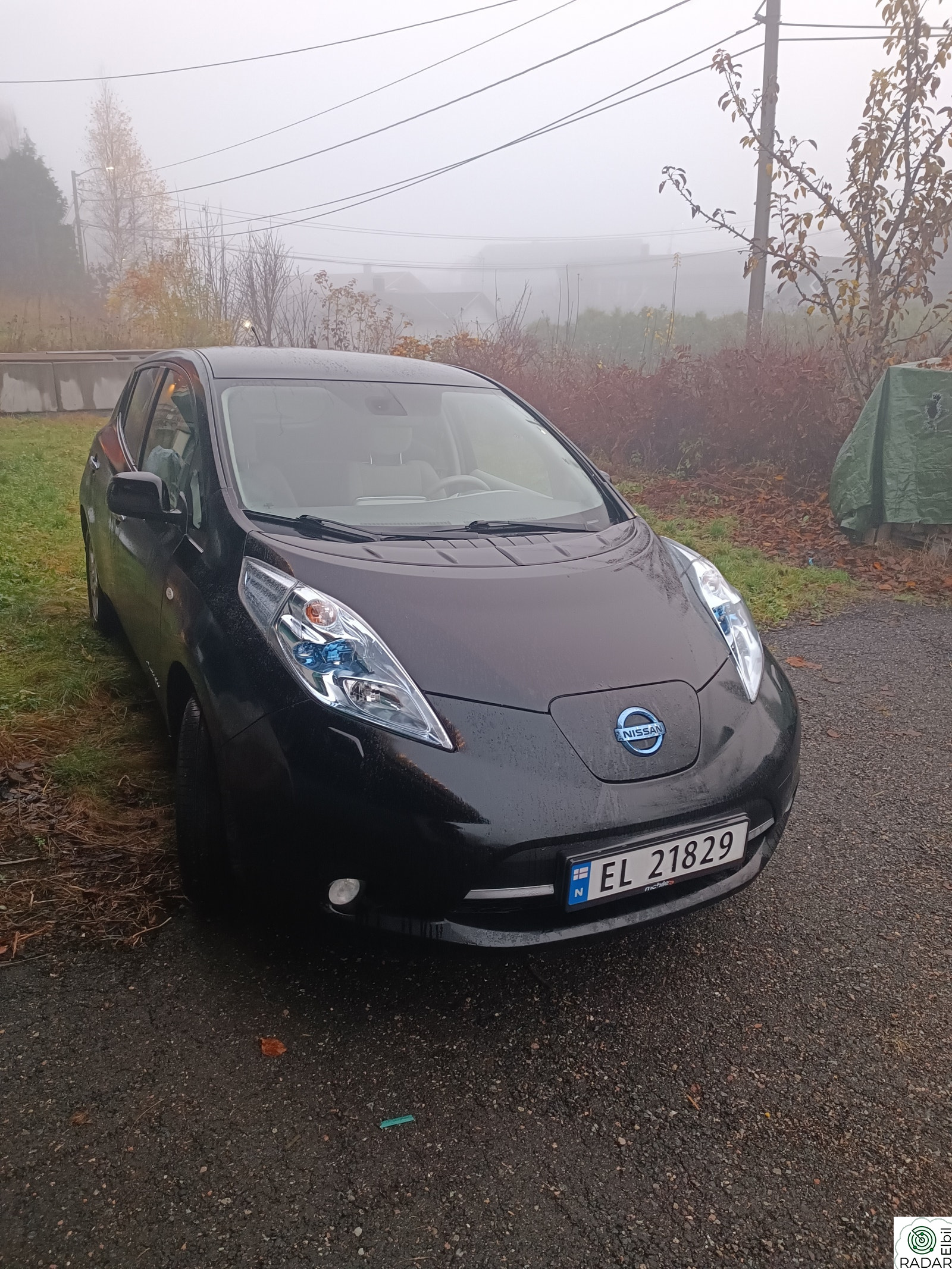 NISSAN LEAF