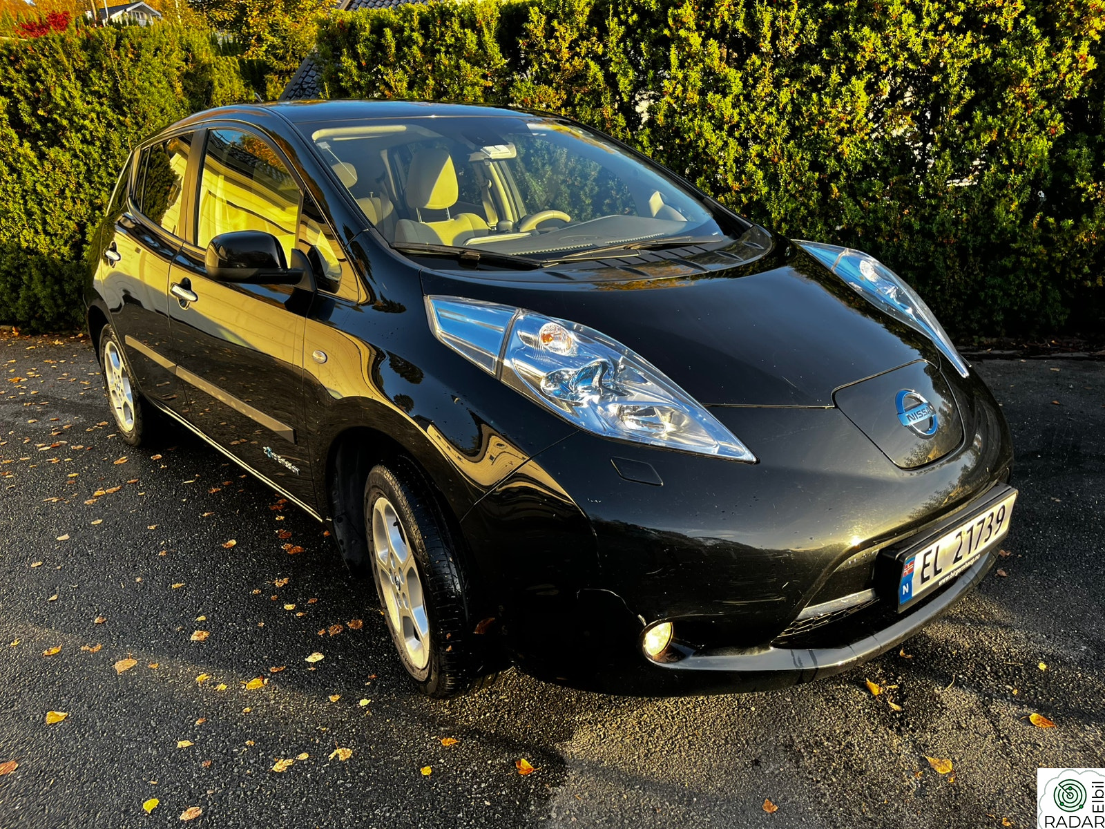 NISSAN LEAF