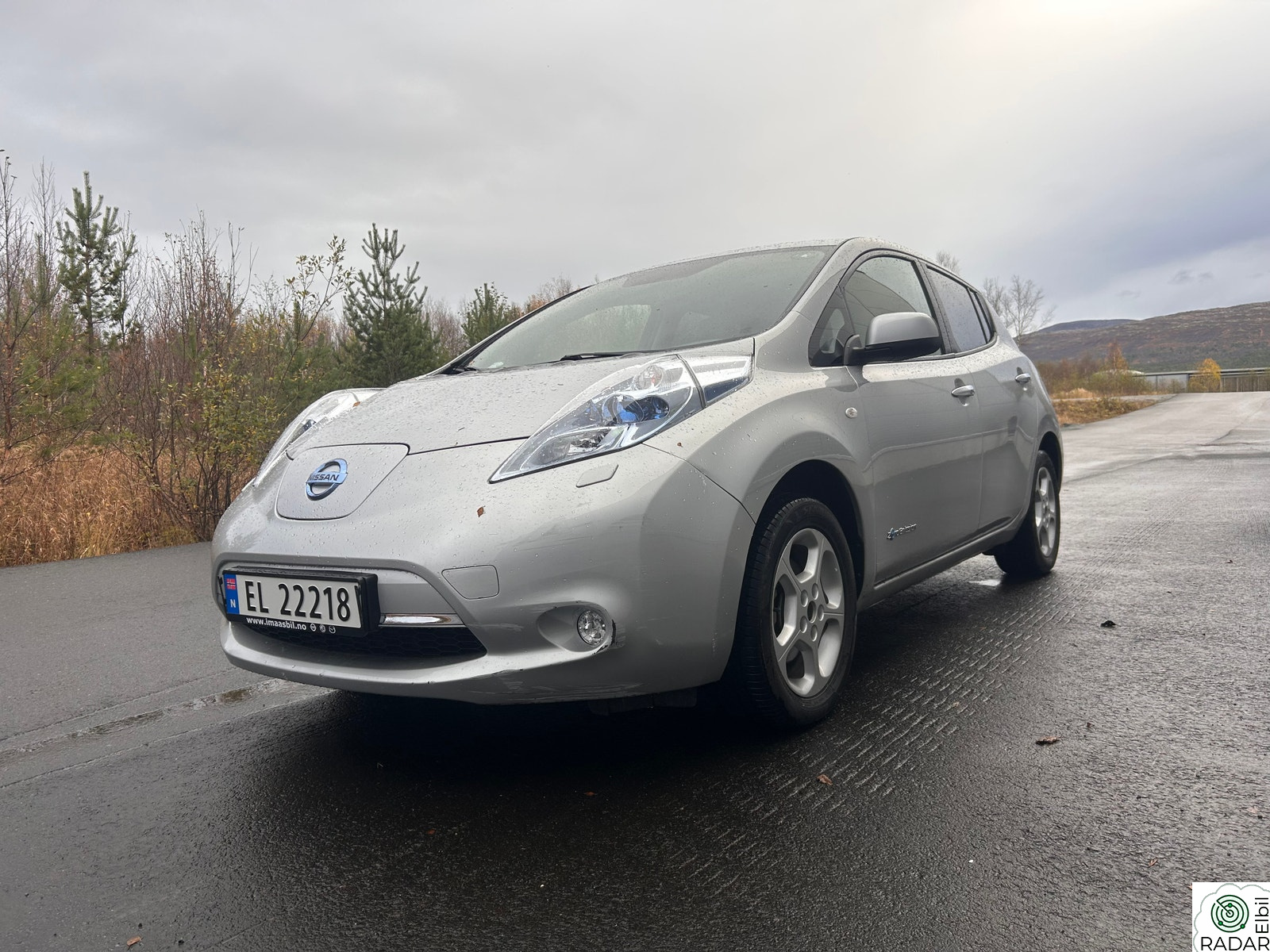 NISSAN LEAF