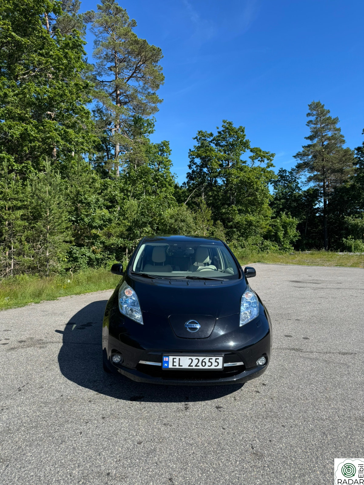 NISSAN LEAF