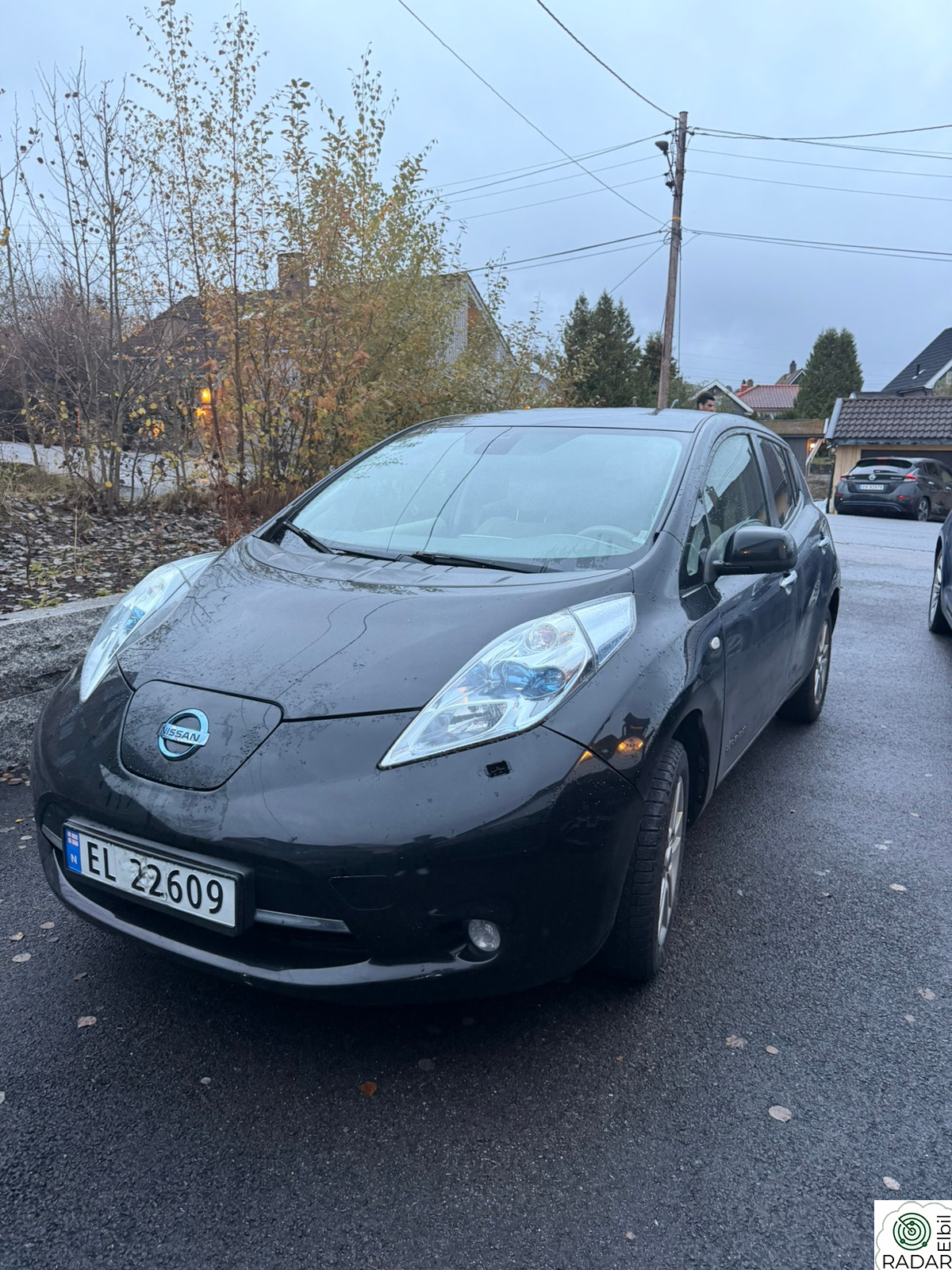 NISSAN LEAF