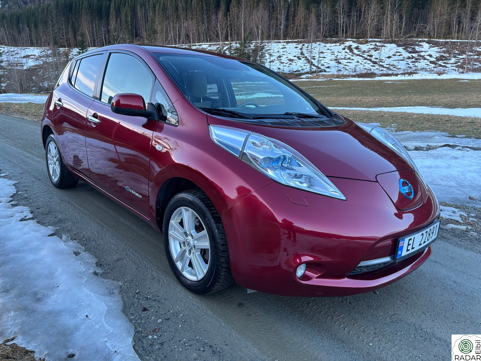 NISSAN LEAF