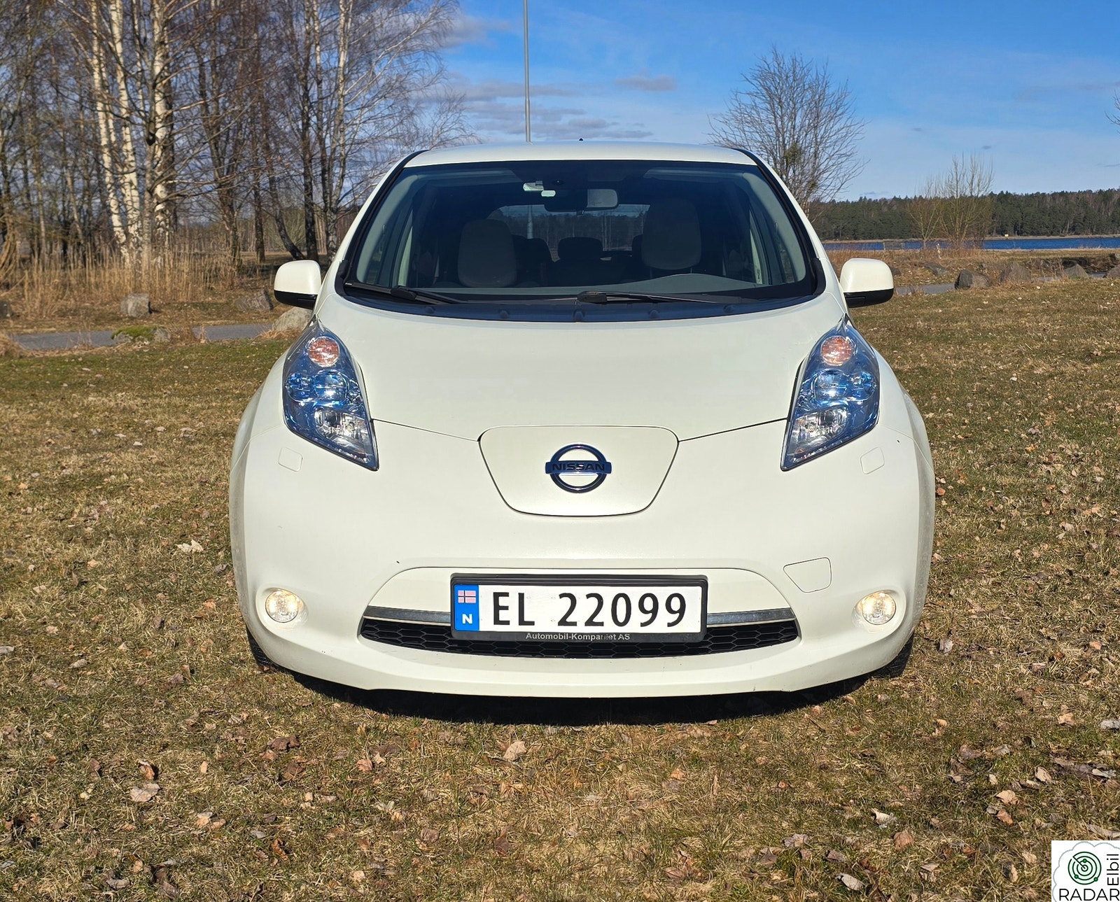 NISSAN LEAF Acenta