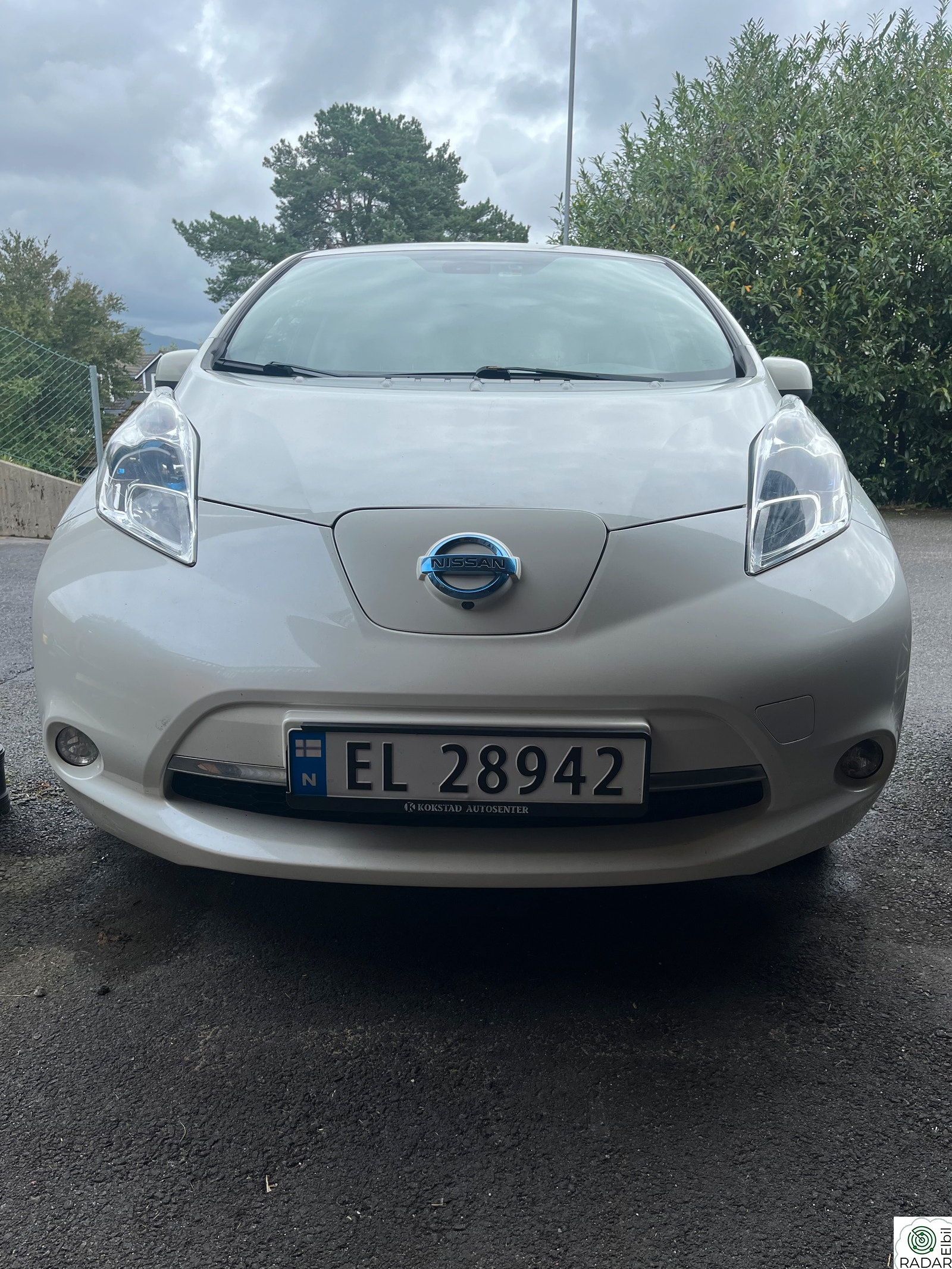 NISSAN LEAF Tekna