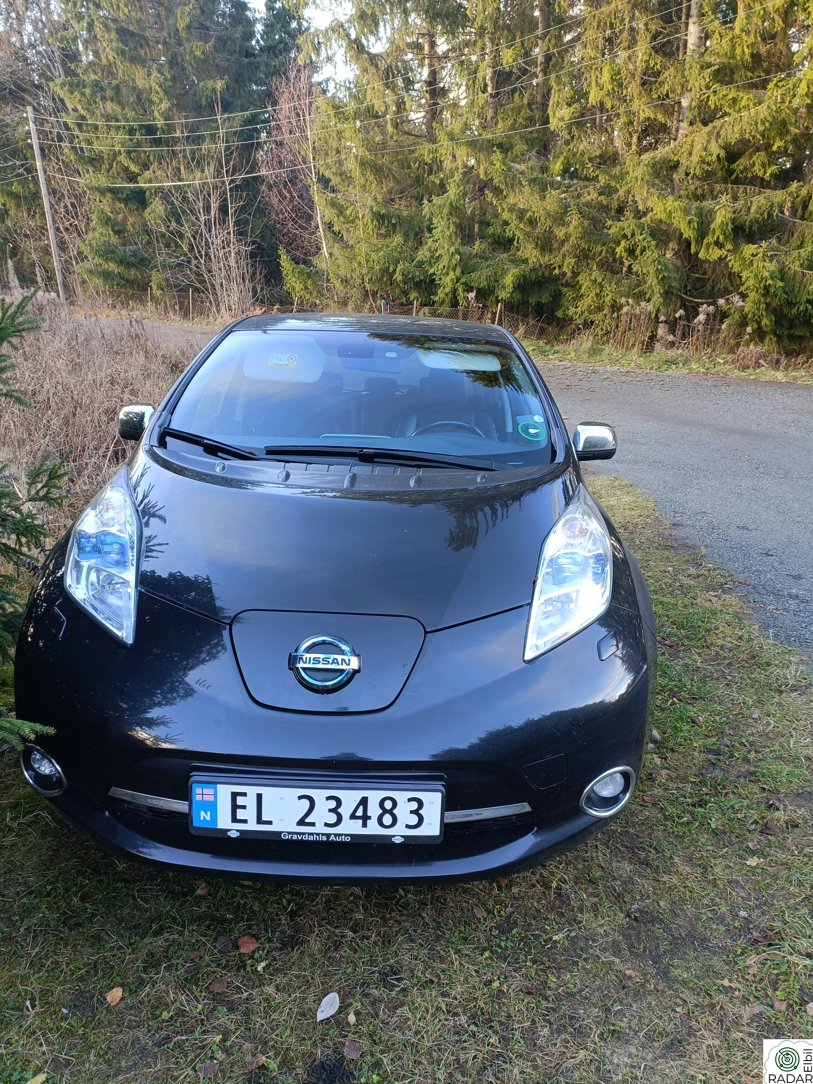 NISSAN LEAF