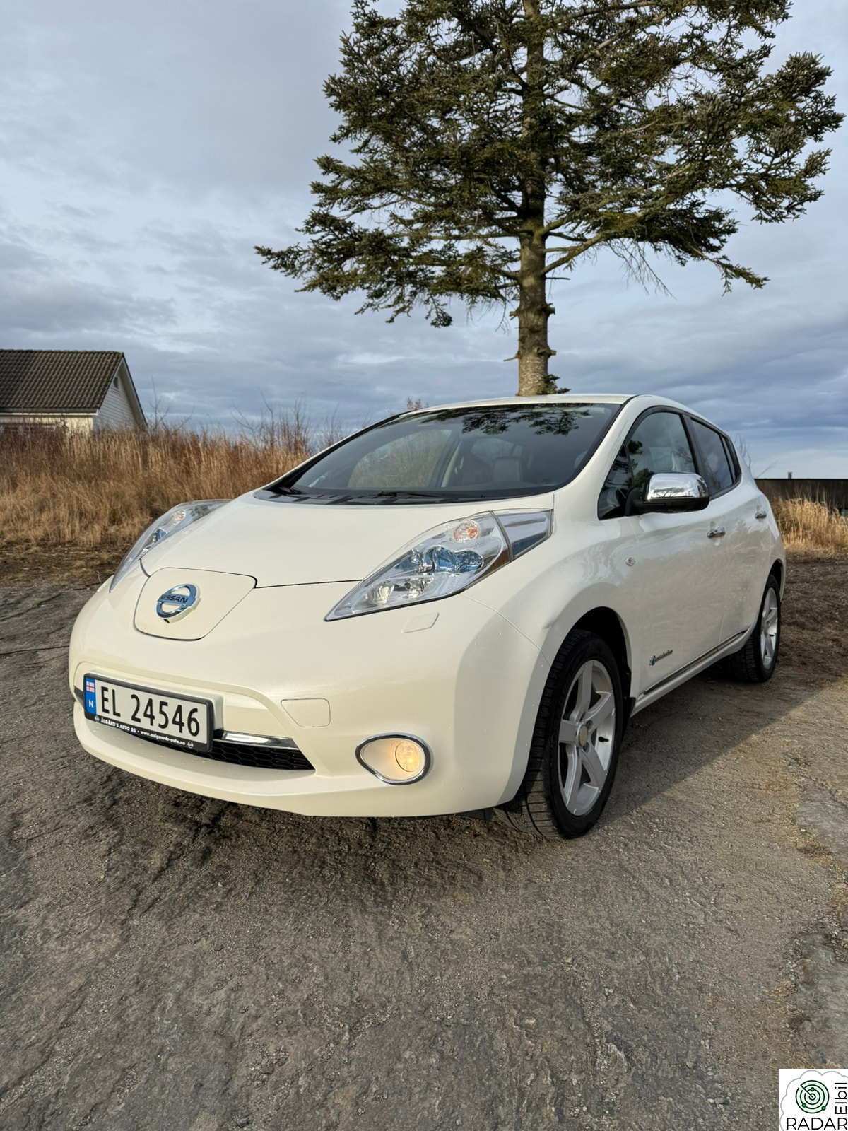 NISSAN LEAF Tekna, BOSE, skinn,