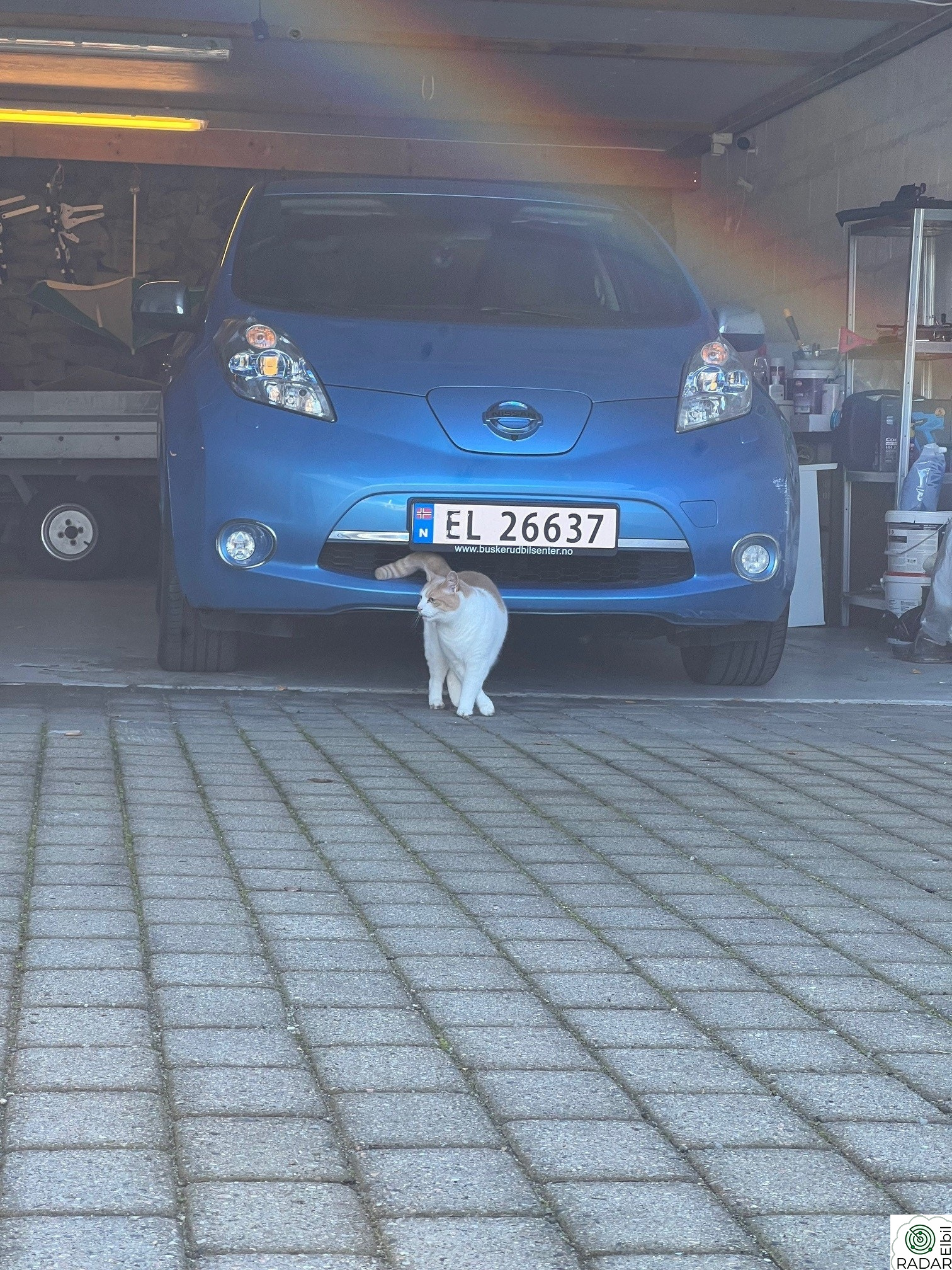 NISSAN LEAF Tekna