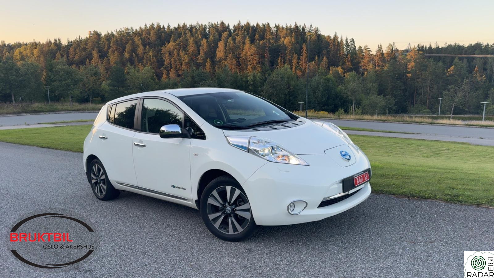 NISSAN LEAF Tekna -- Skinn, BOSE, Ryggesensor, Godt vedlikeholdt