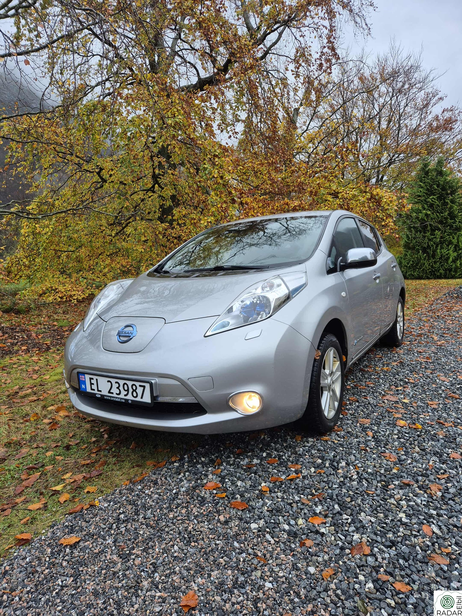 NISSAN LEAF Zeo