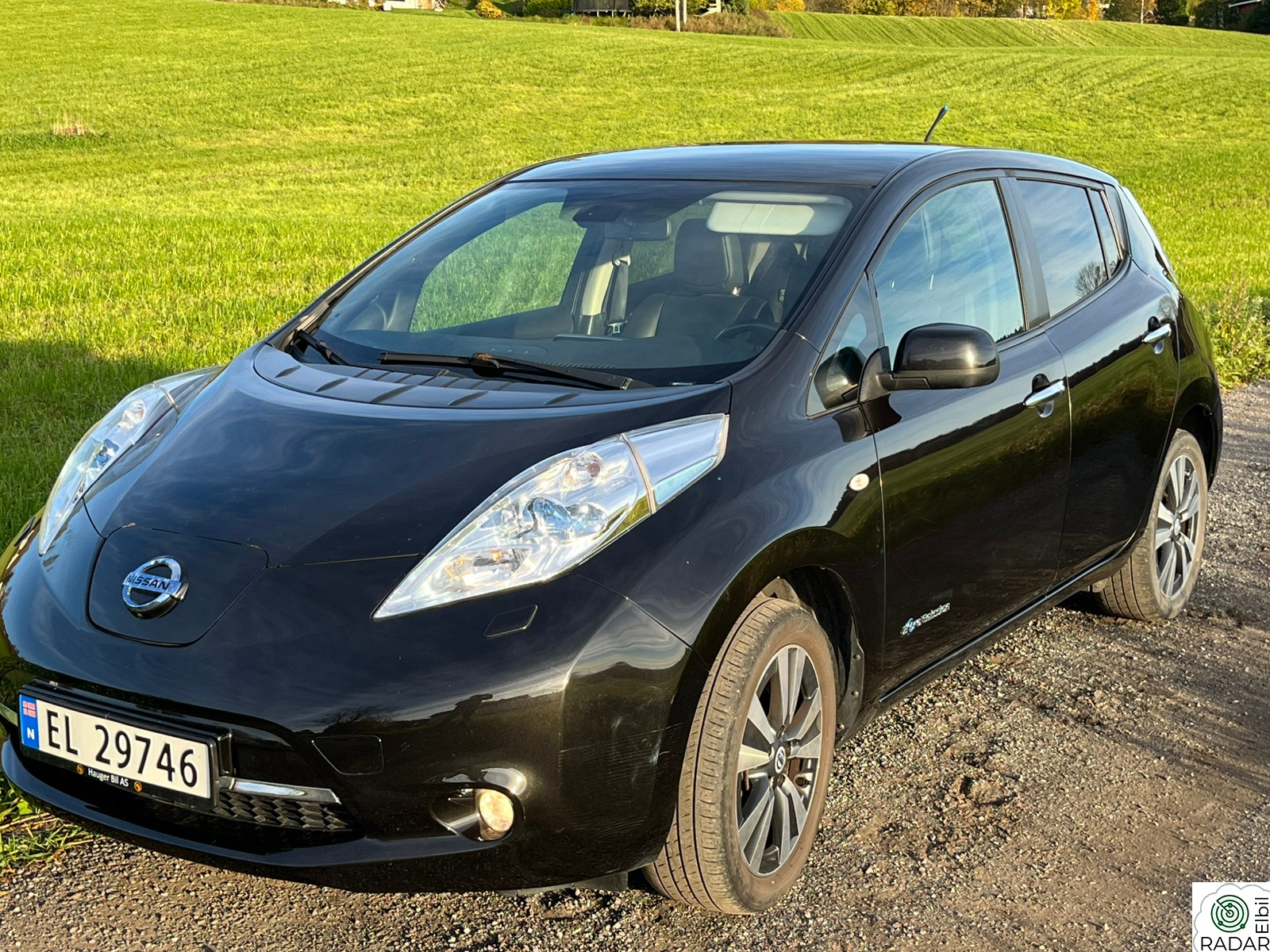 NISSAN LEAF Tekna