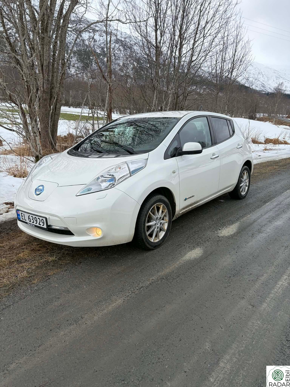 NISSAN LEAF