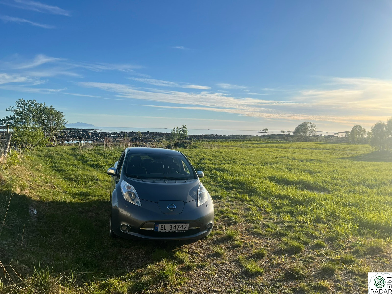NISSAN LEAF