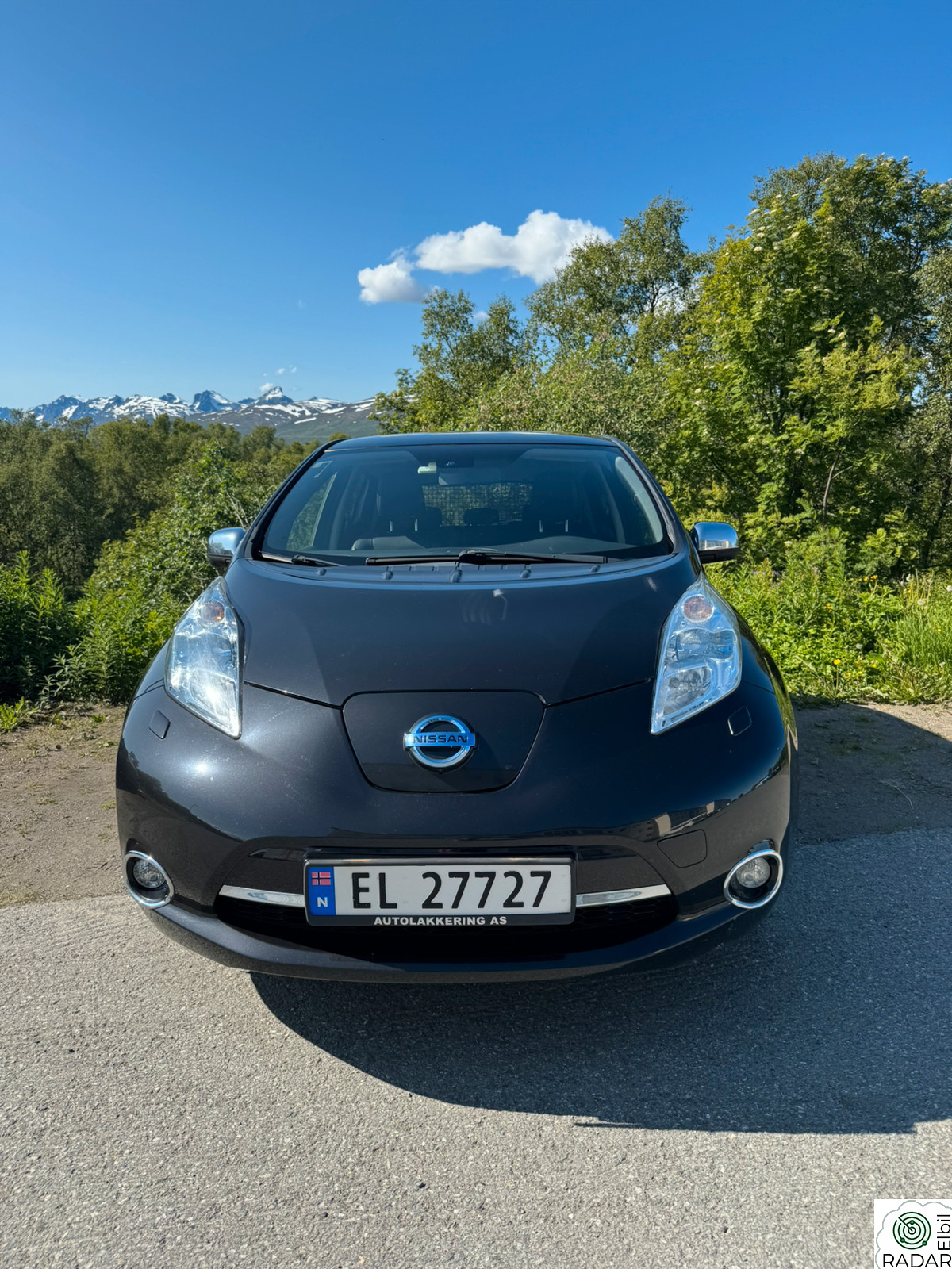 NISSAN LEAF Tekna