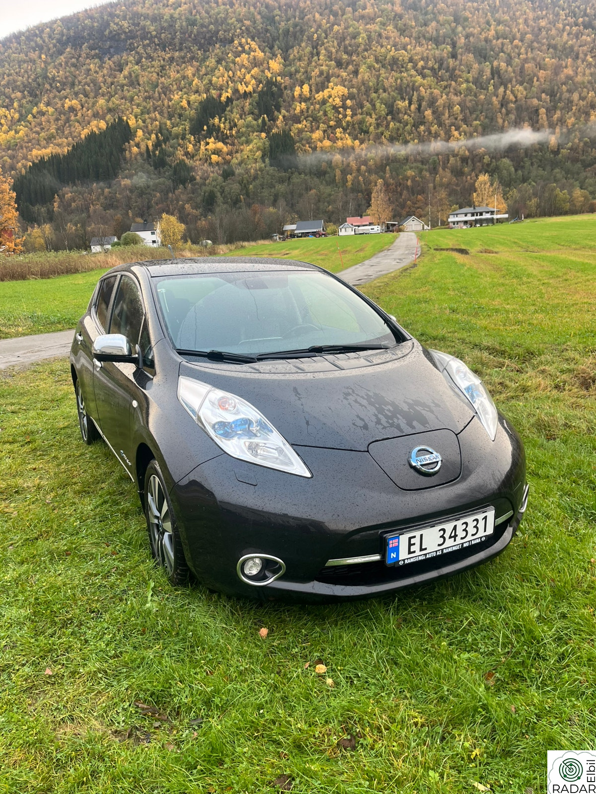 NISSAN LEAF Tekna