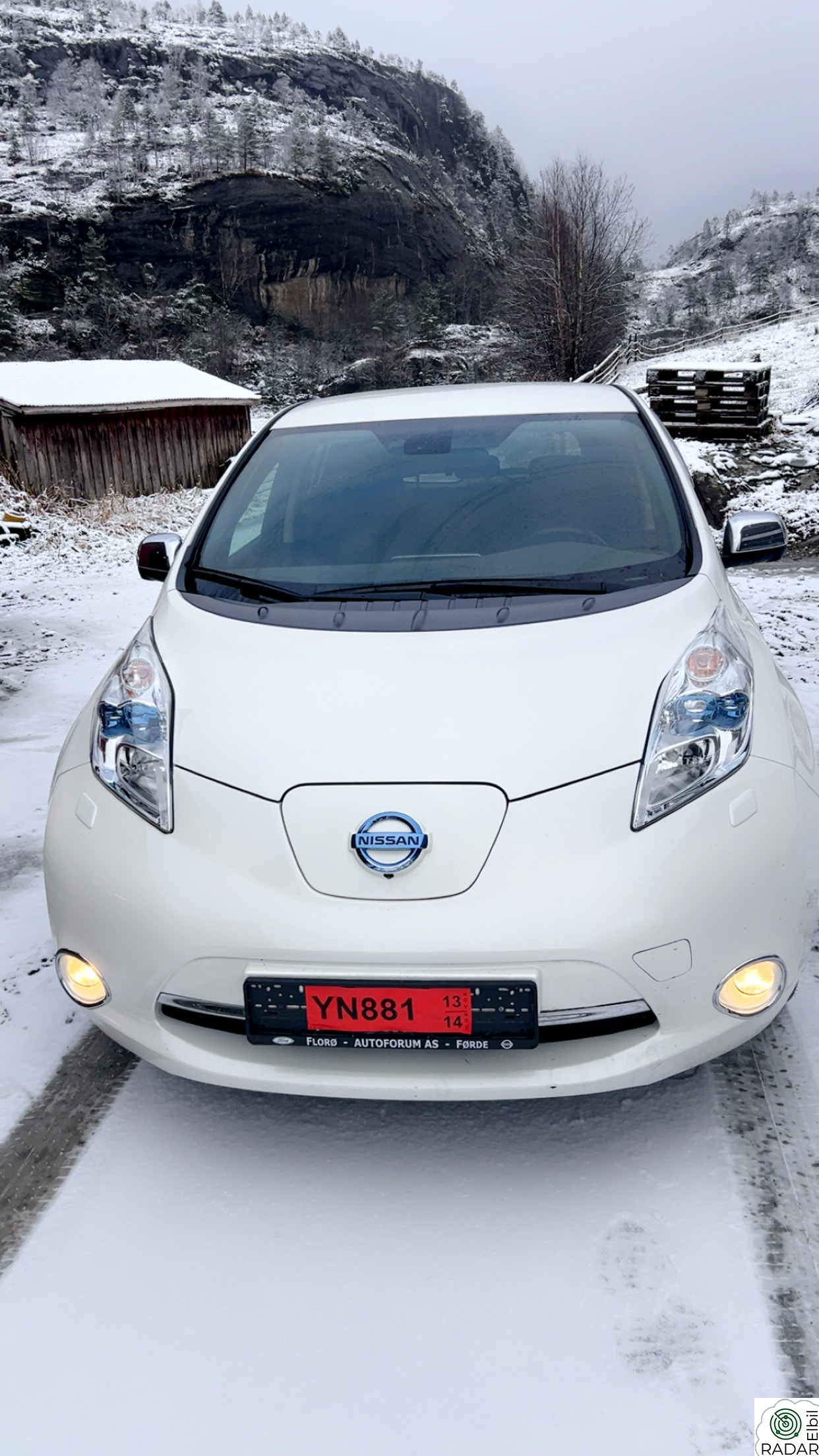 NISSAN LEAF