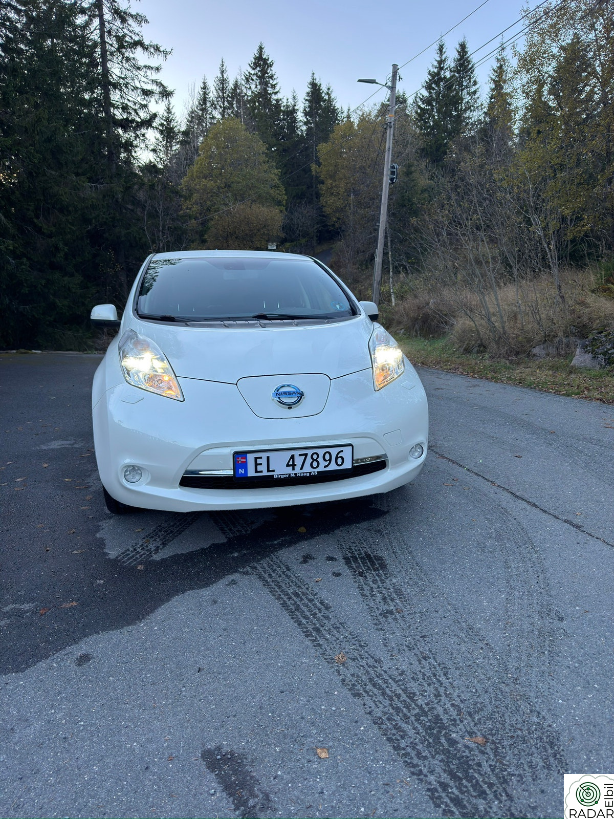 NISSAN LEAF