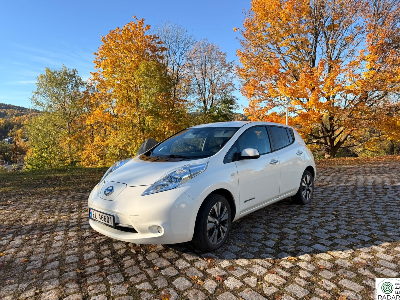 NISSAN LEAF Tekna