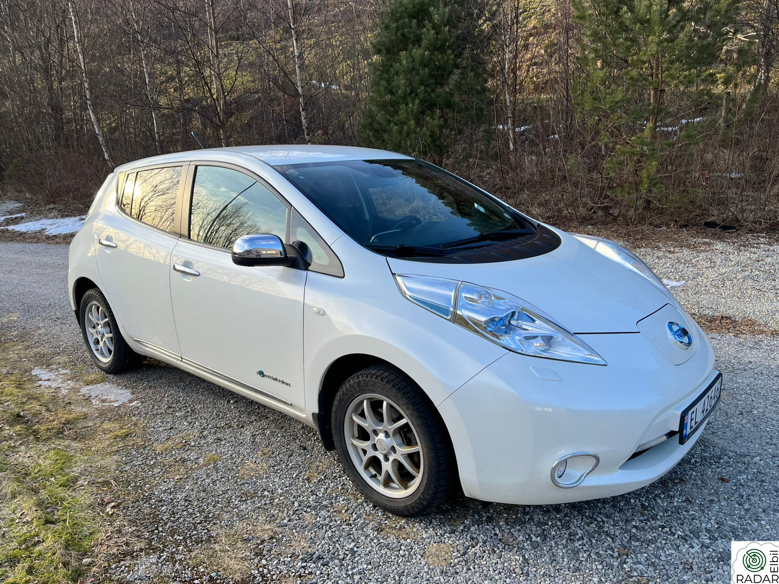 NISSAN LEAF Tekna