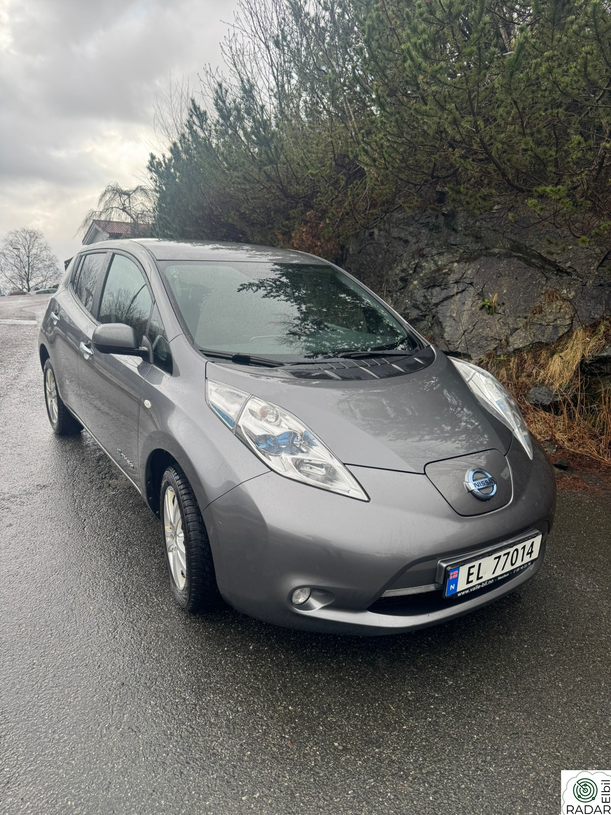 NISSAN LEAF Tekna