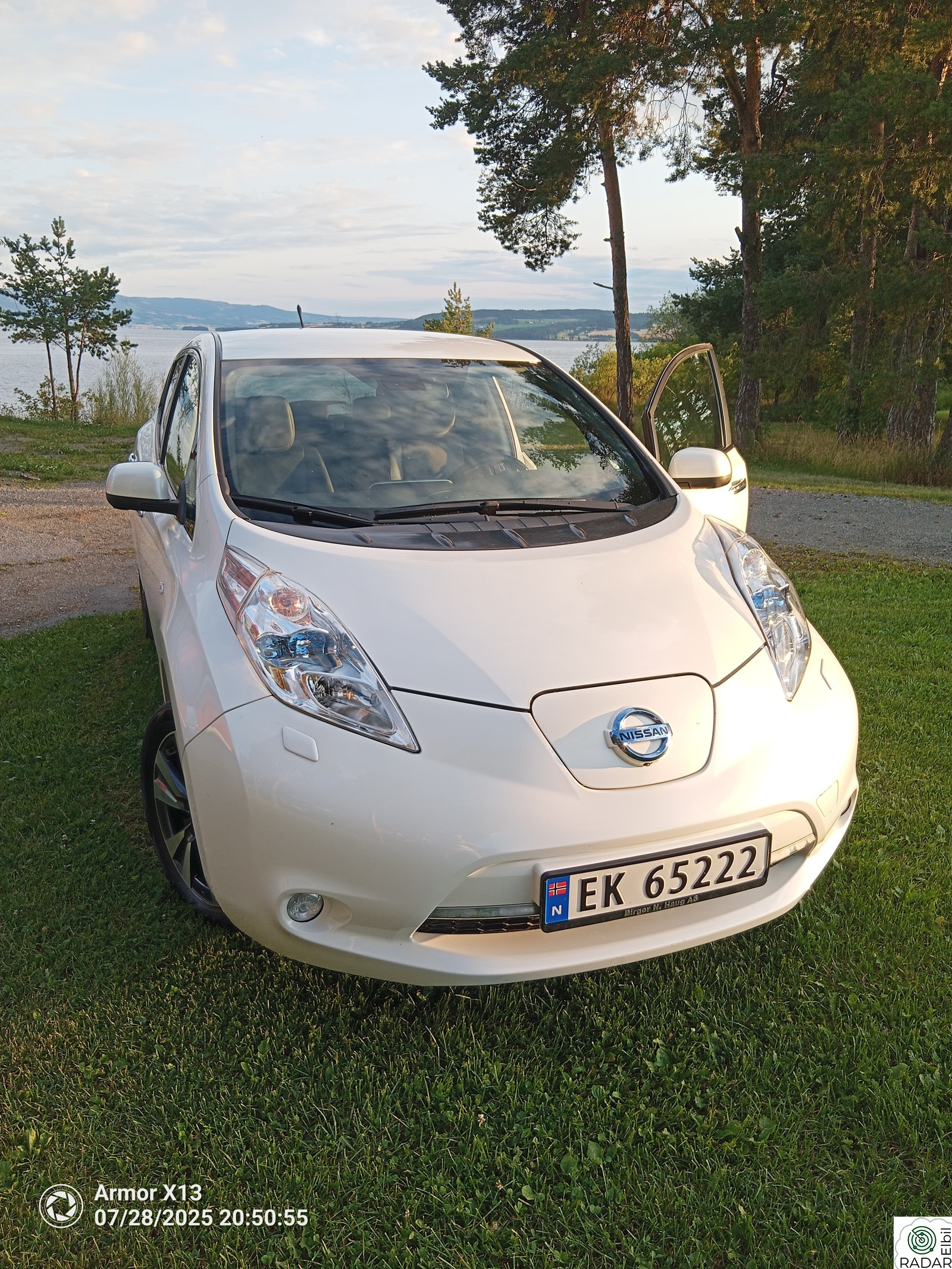 NISSAN LEAF