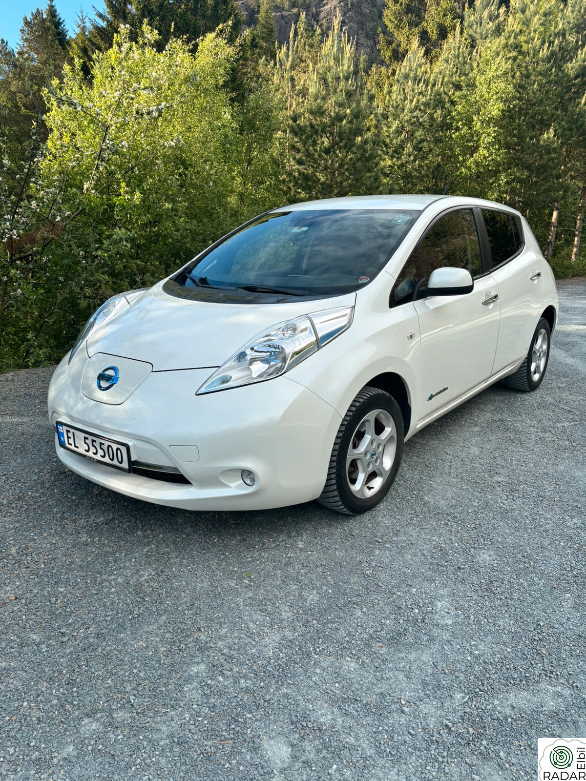 NISSAN LEAF