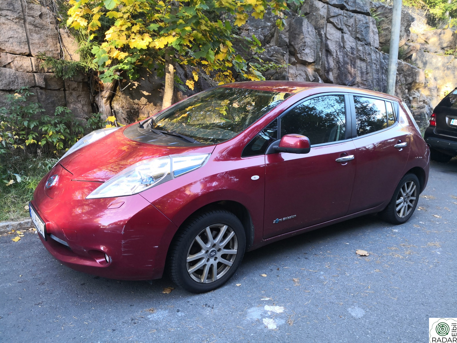 NISSAN LEAF Tekna