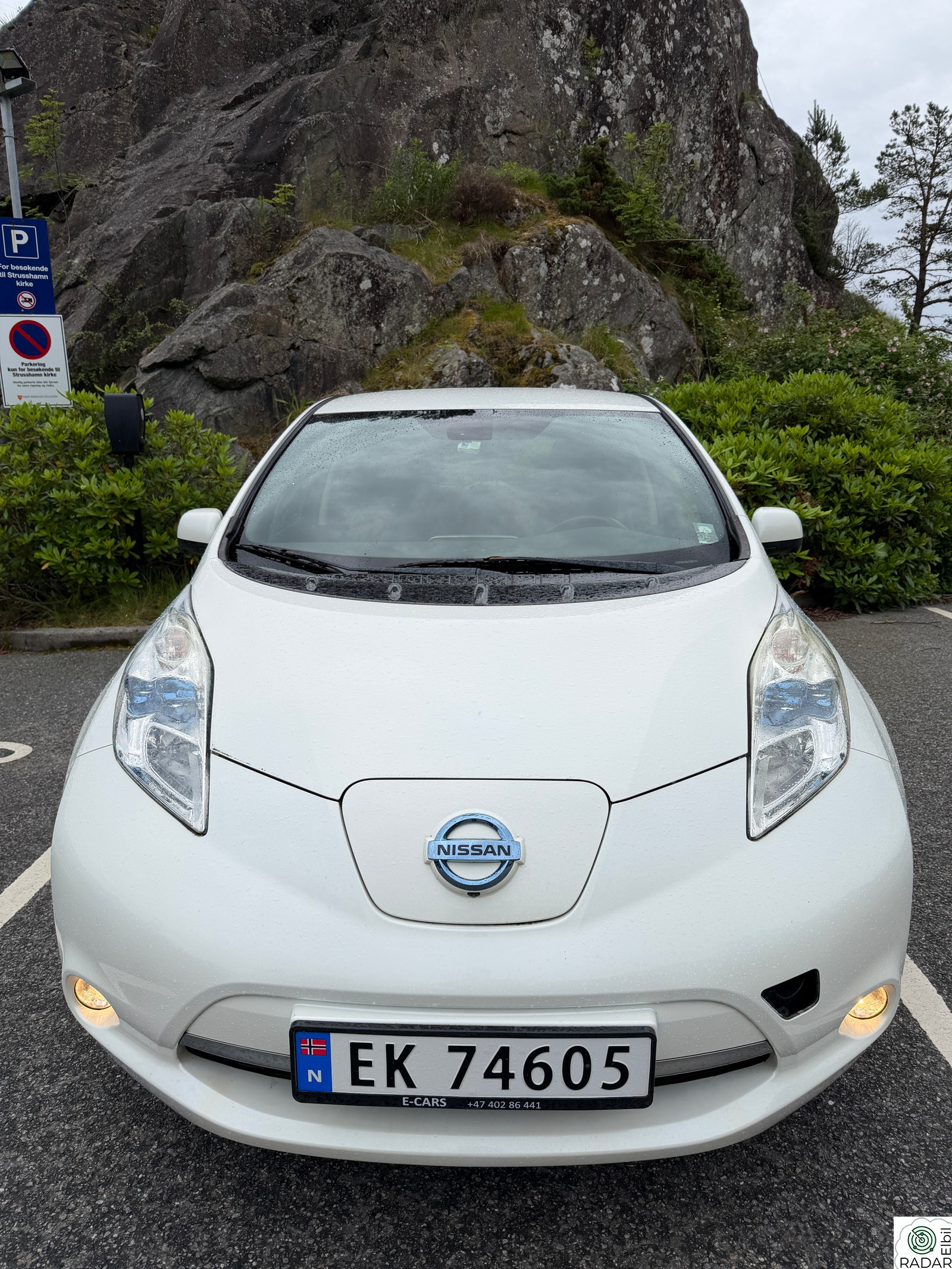 NISSAN LEAF Acenta