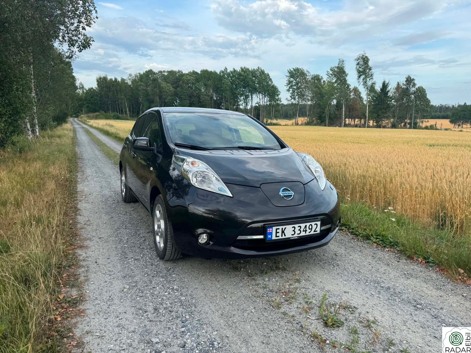 NISSAN LEAF