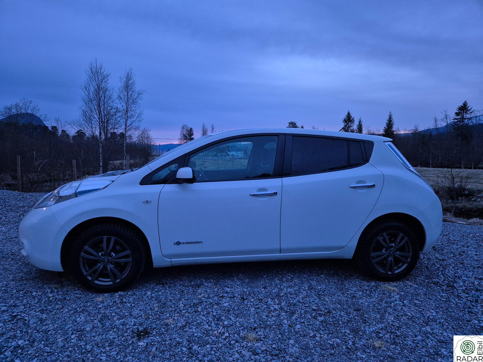 NISSAN LEAF Zeo