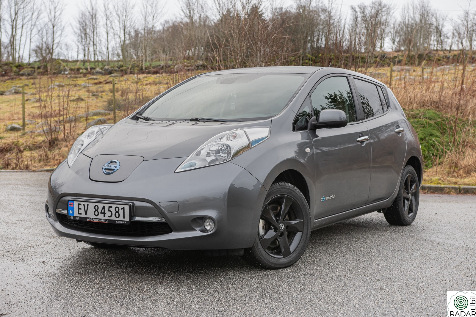 NISSAN Leaf Acenta