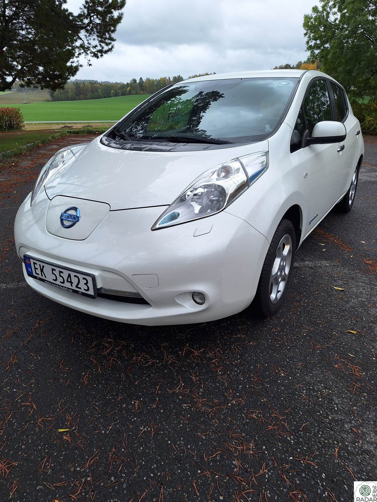 NISSAN LEAF Acenta