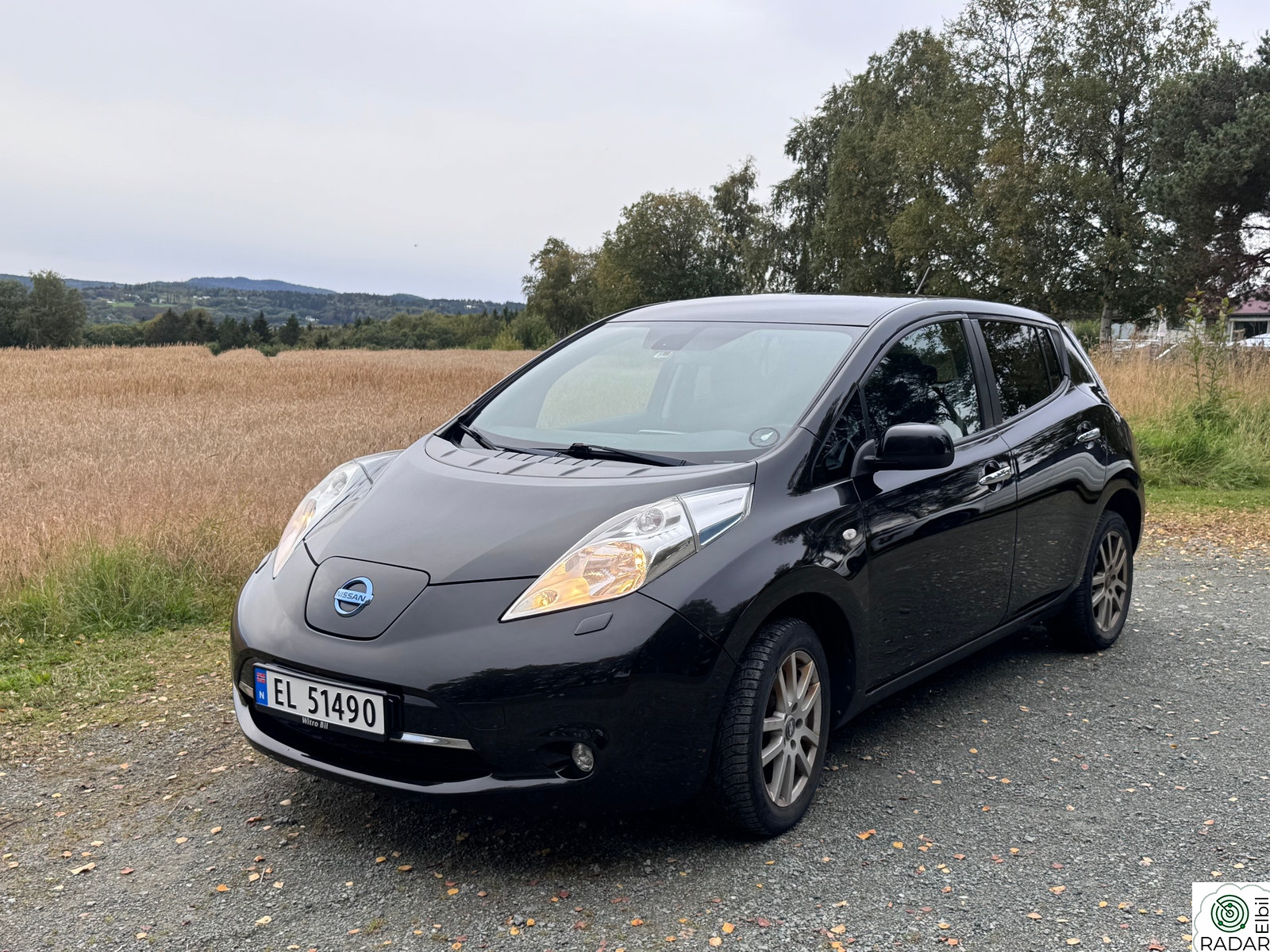 NISSAN LEAF