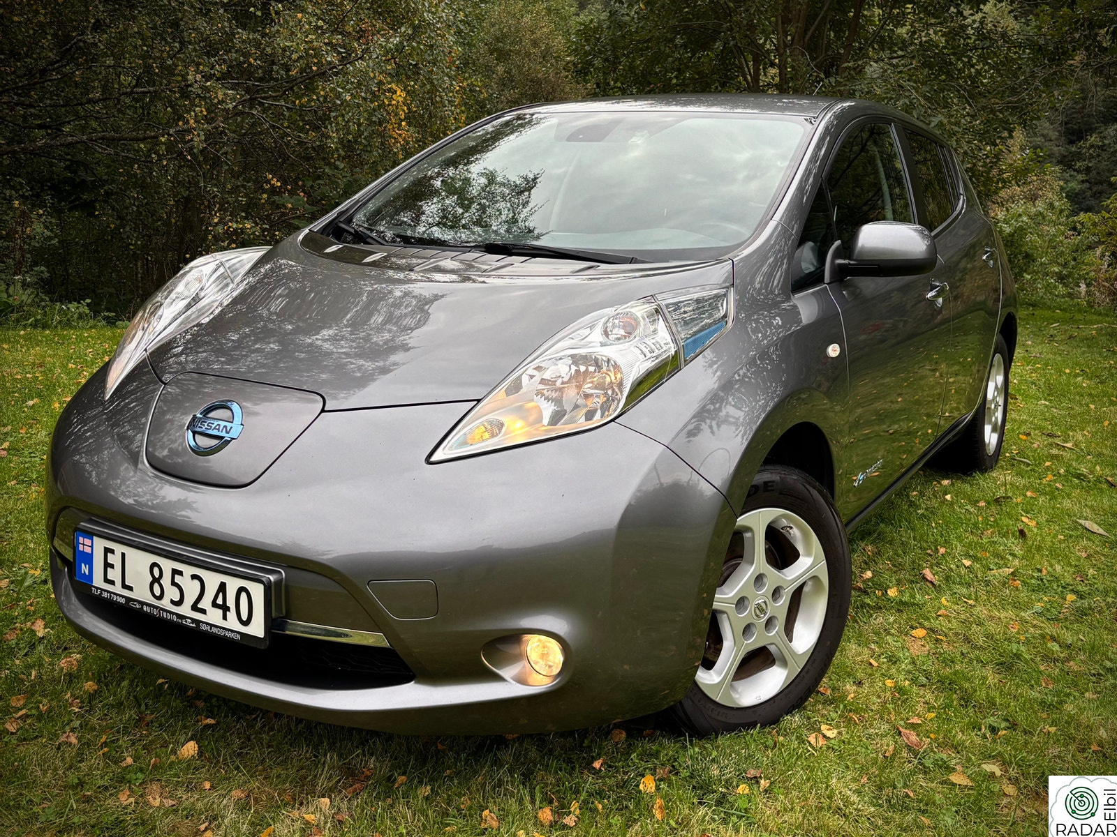 NISSAN LEAF
