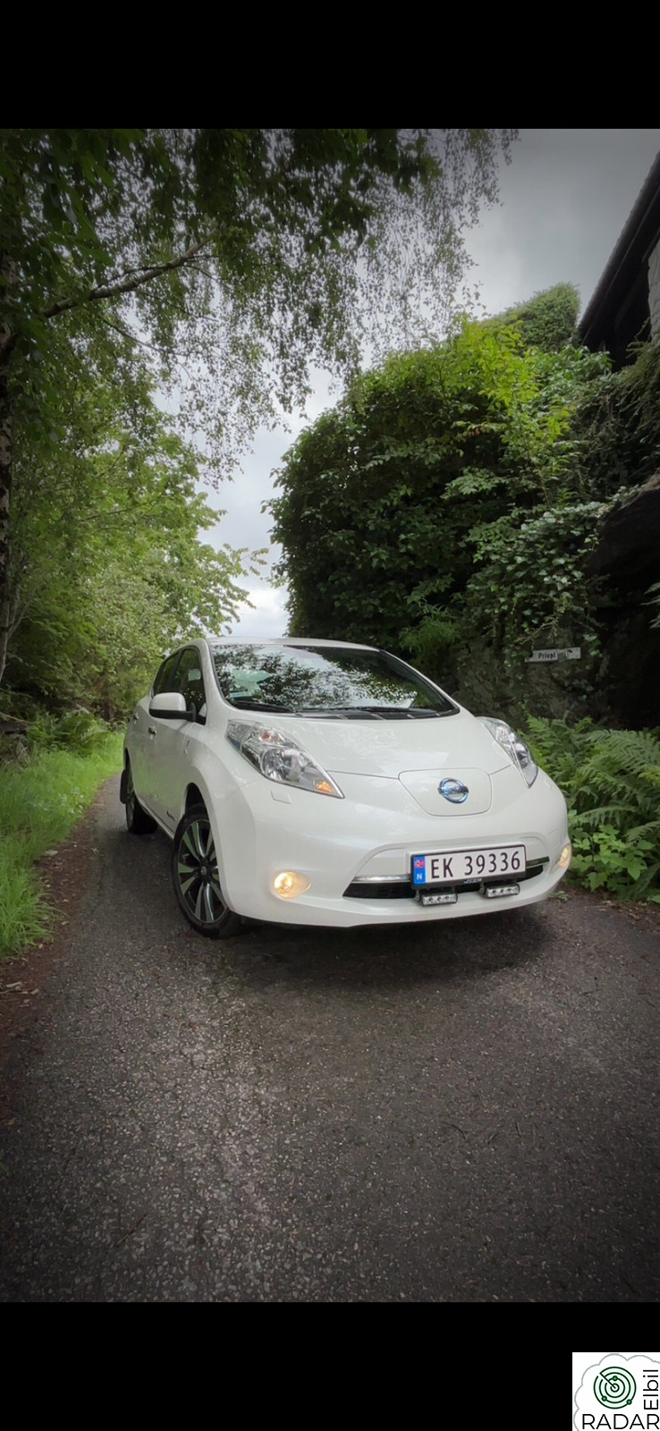 NISSAN LEAF
