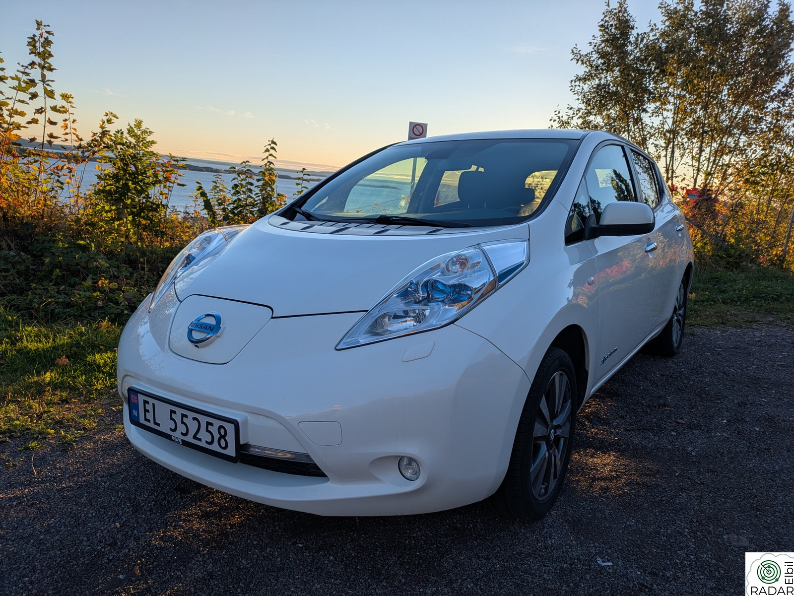NISSAN LEAF Tekna (K)