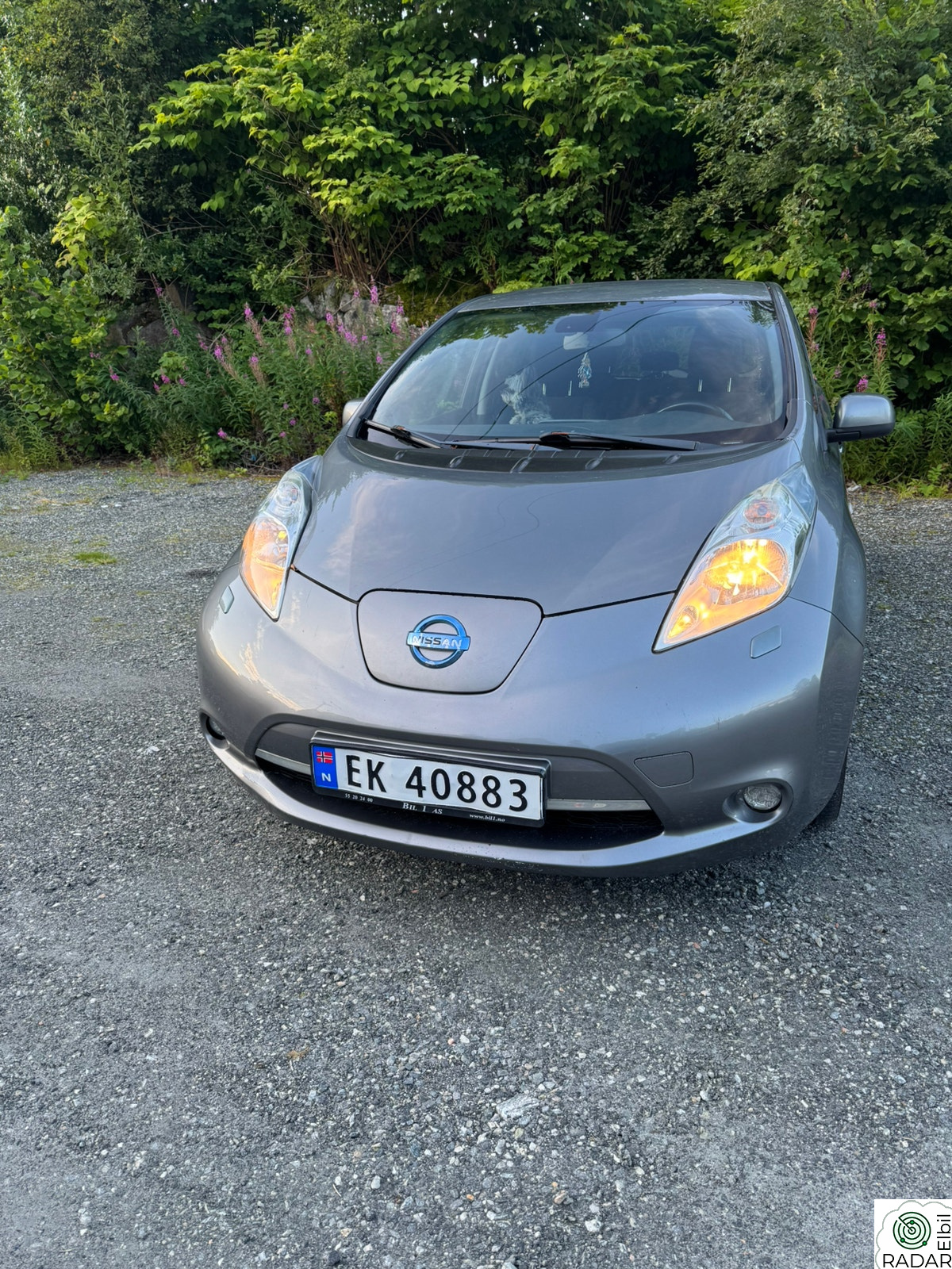NISSAN LEAF