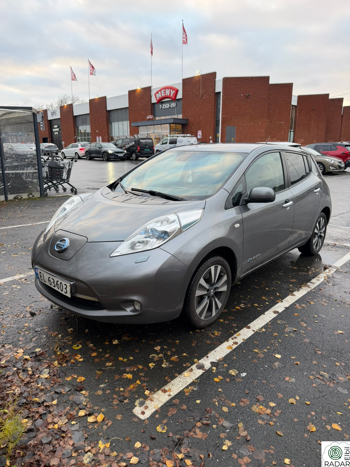 NISSAN LEAF Tekna