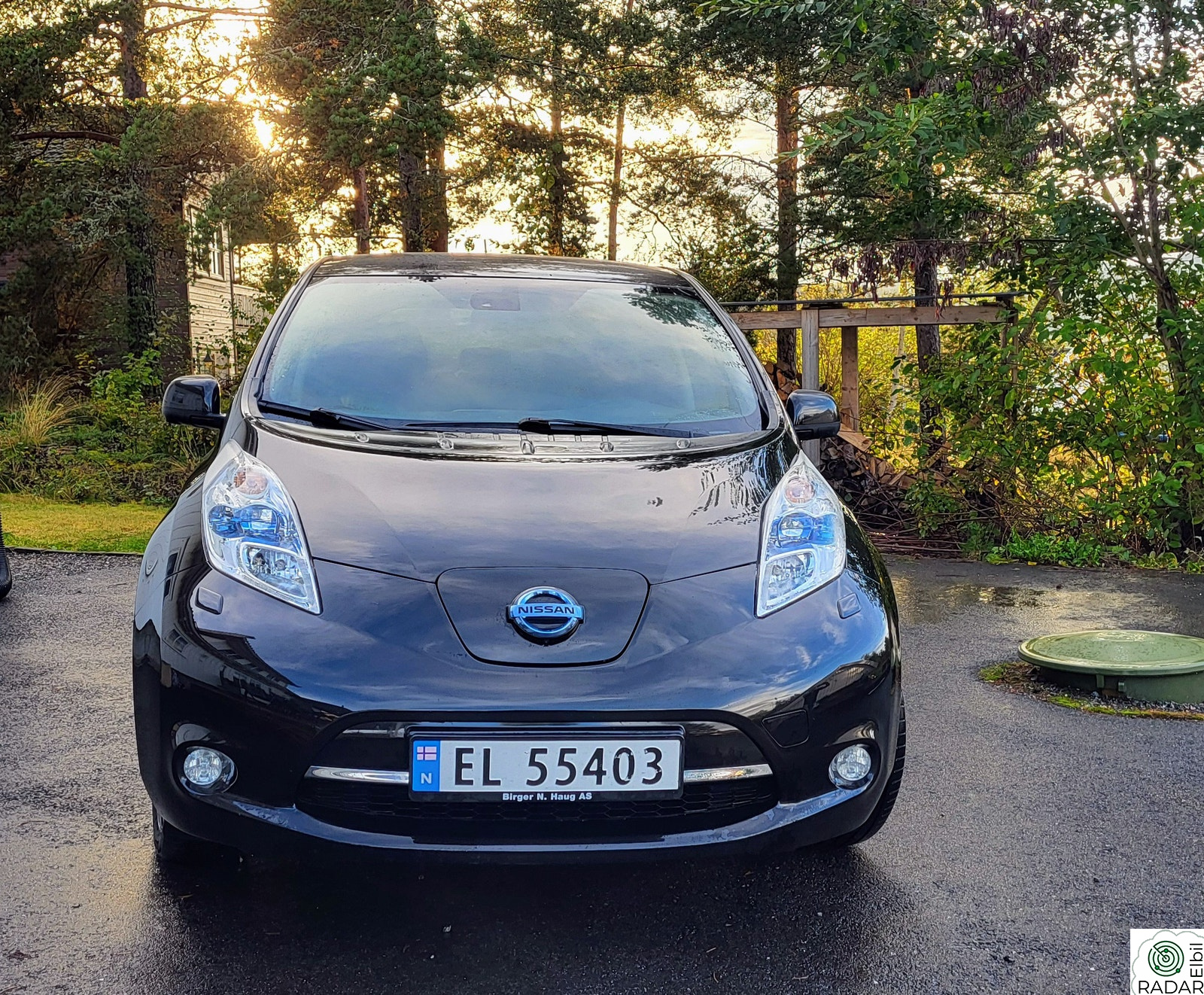 NISSAN LEAF Tekna