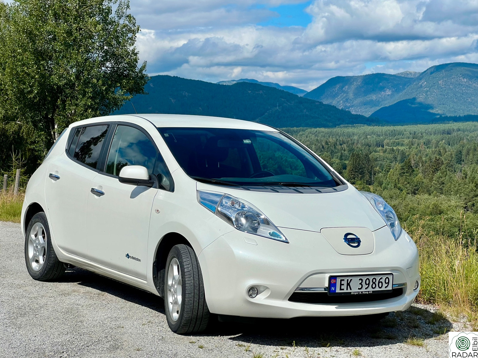 NISSAN LEAF Acenta