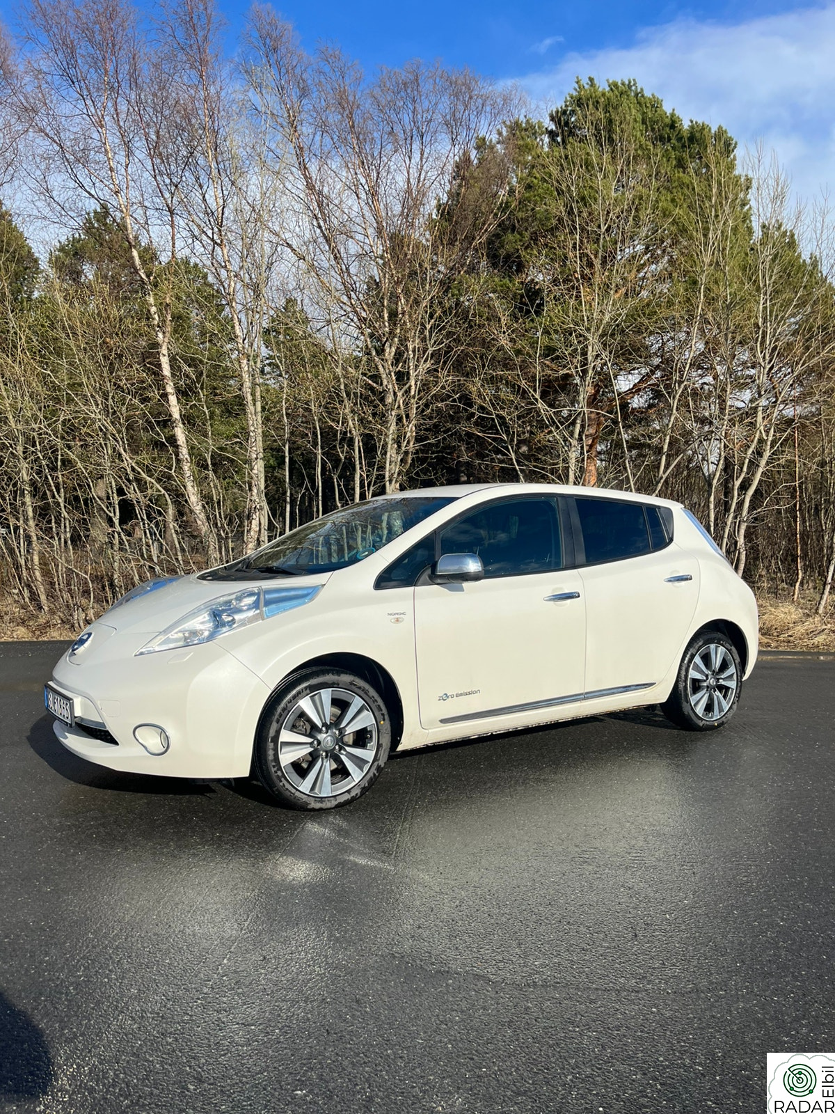 NISSAN LEAF NORDIC/BOSE/360/RYGGEKAMERA/NYE DEKK