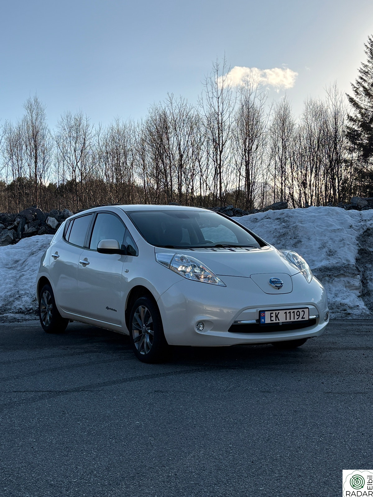 NISSAN LEAF Tekna