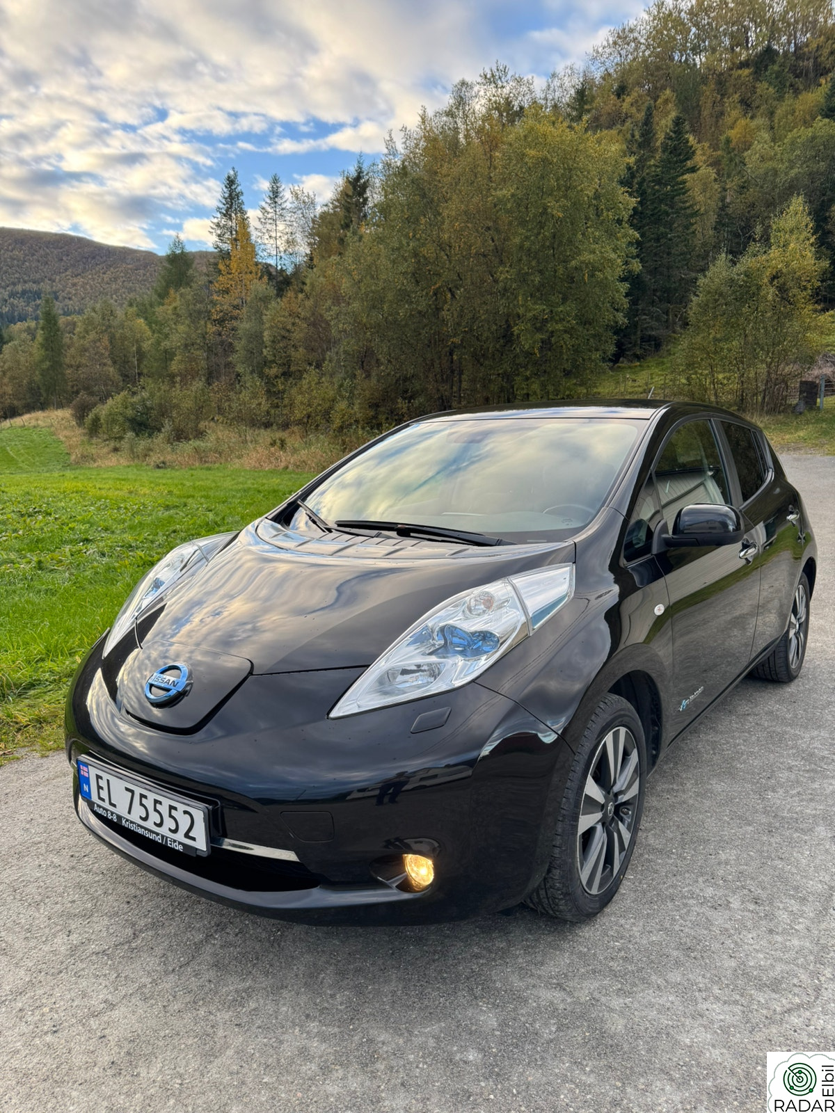 NISSAN LEAF Tekna
