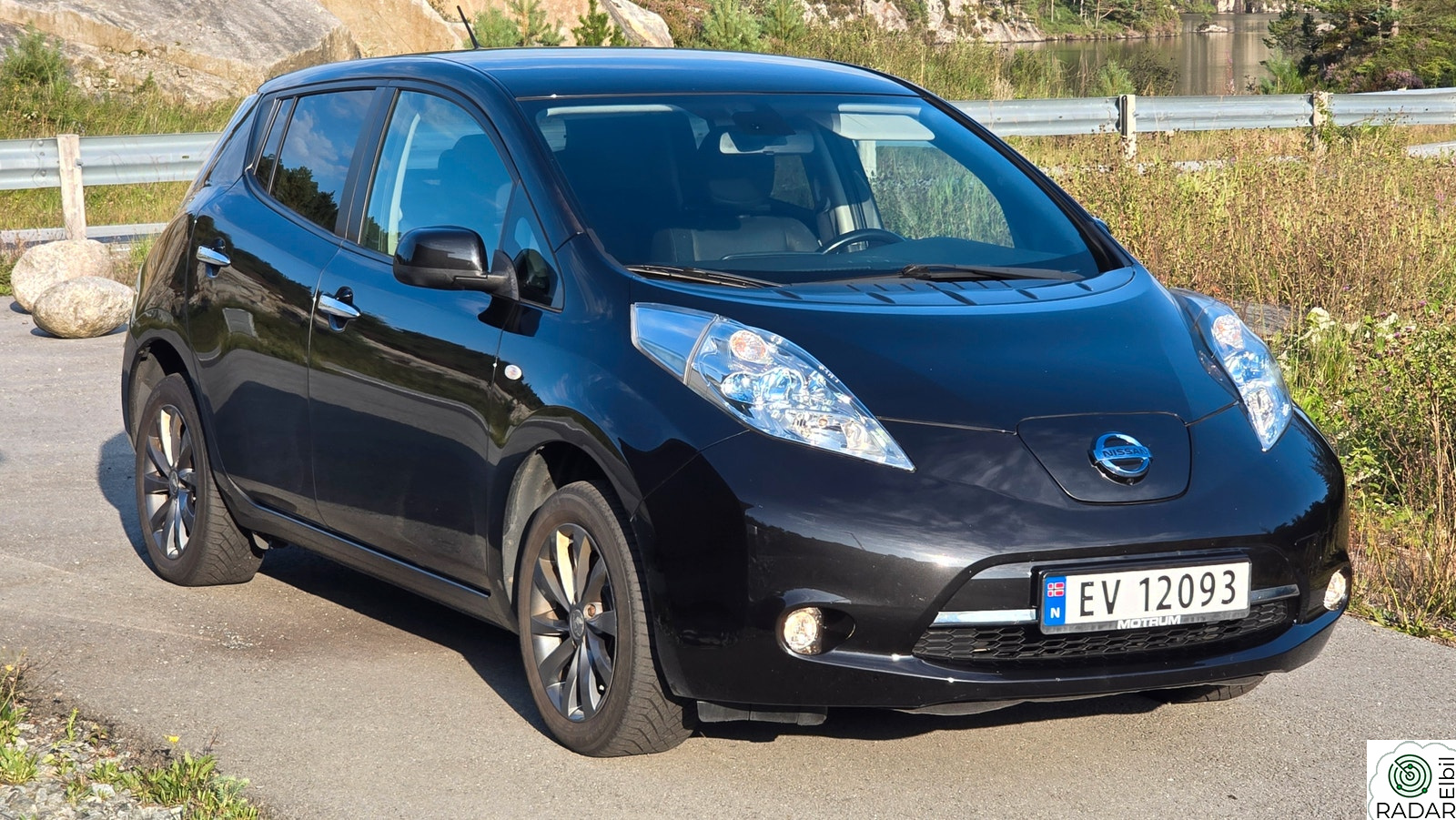 NISSAN Leaf Tekna