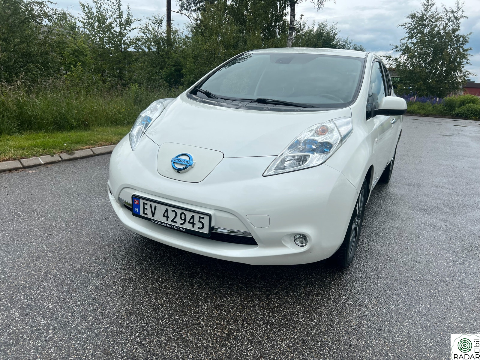 NISSAN Leaf Tekna