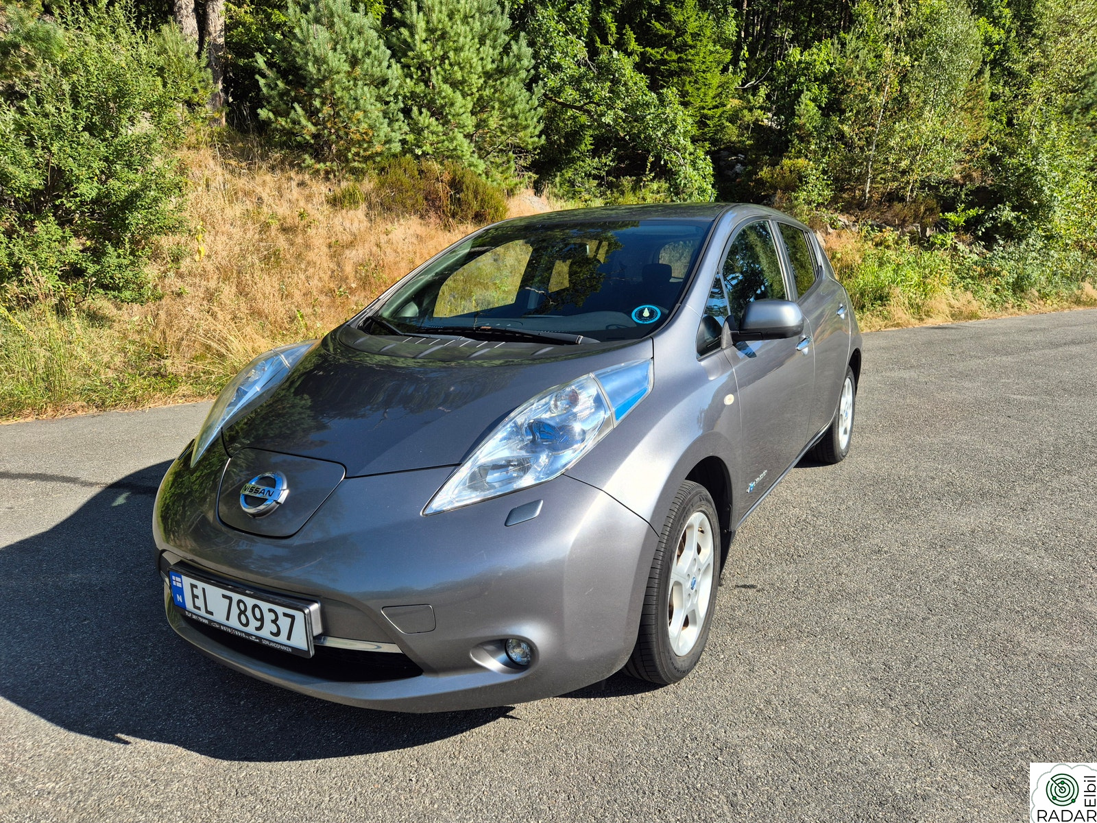 NISSAN LEAF Tekna