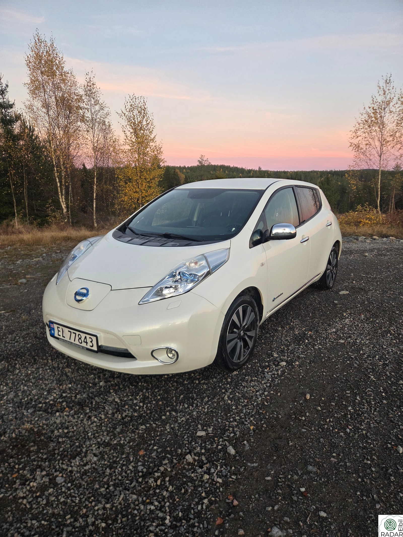 NISSAN LEAF Tekna