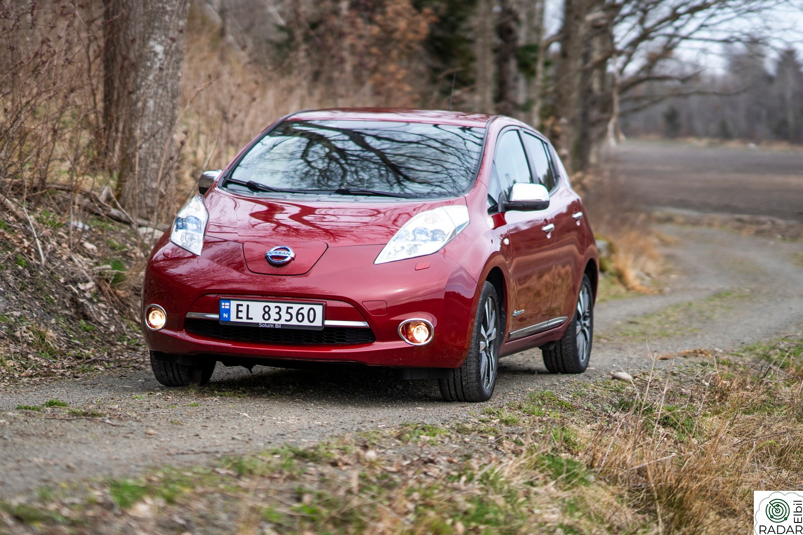 NISSAN LEAF 30kWh Tekna 30kWh